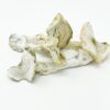Albino A+ Magic Mushroom