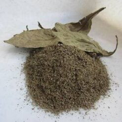 Buy Psychotria viridis (chacruna) leaves are a classic source in ayahuasca brews