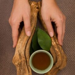 Ayahuasca Online for Sale